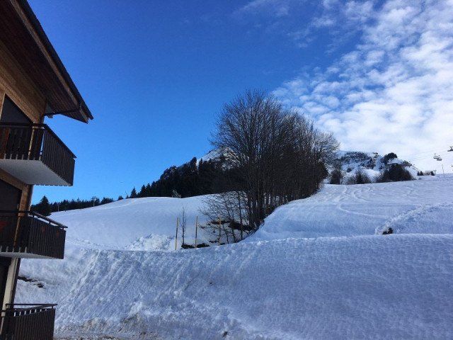 _clients_227445005_photos_137m_5283200 _clients_227445005_photos_137m_5283200