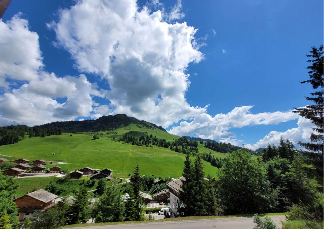 _clients_227445005_photos_141h_4688925