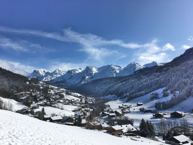 _clients_227445005_photos_145n_4717782 _clients_227445005_photos_145n_4717782