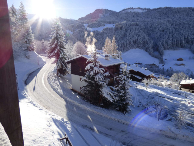 _clients_227445005_photos_164g_5331661