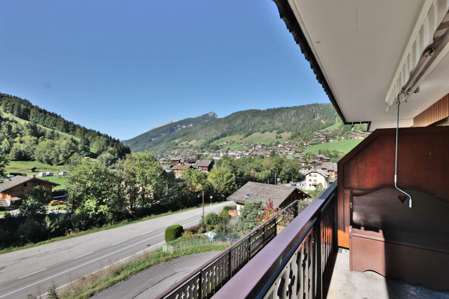 _clients_227445005_photos_168n_4676910 _clients_227445005_photos_168n_4676910