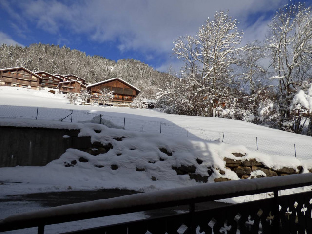 _clients_227445005_photos_16ad_4684966 _clients_227445005_photos_16ad_4684966