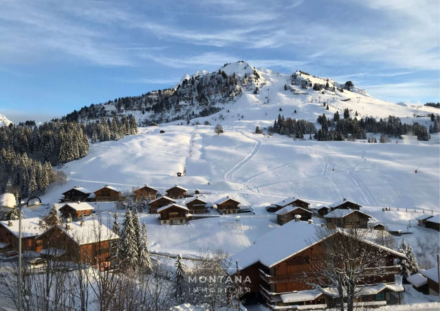 _clients_227445005_photos_186i_4912615