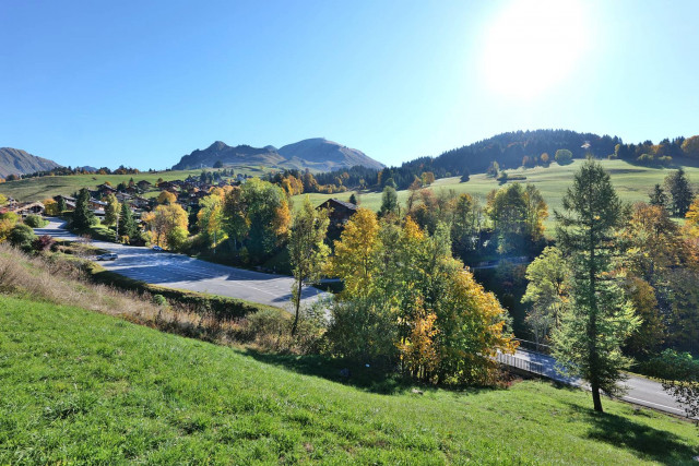 _clients_227445005_photos_190k_4677080