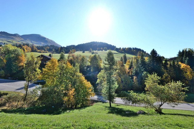 _clients_227445005_photos_190l_5336365