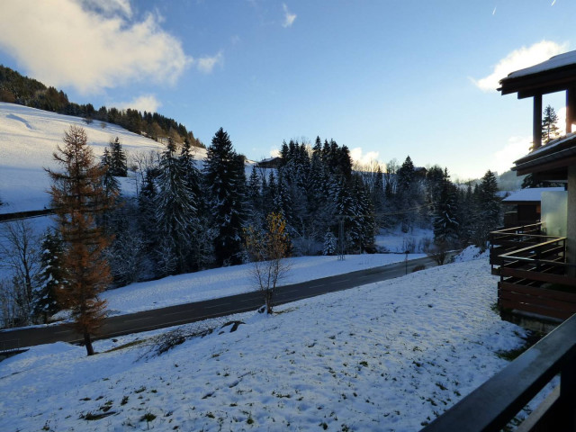 _clients_227445005_photos_190z_4877901 _clients_227445005_photos_190z_4877901