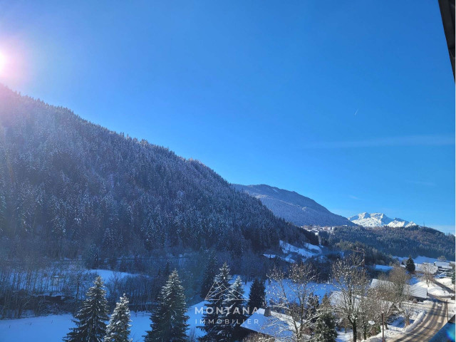 _clients_227445005_photos_211n_4912852