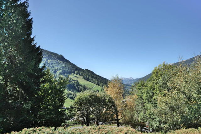 _clients_227445005_photos_223q_4912977