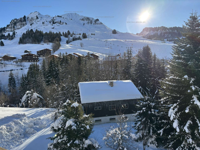 _clients_227445005_photos_228t_5327683