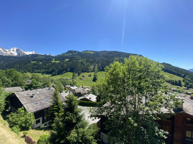 _clients_227445005_photos_22q_5168042 _clients_227445005_photos_22q_5168042