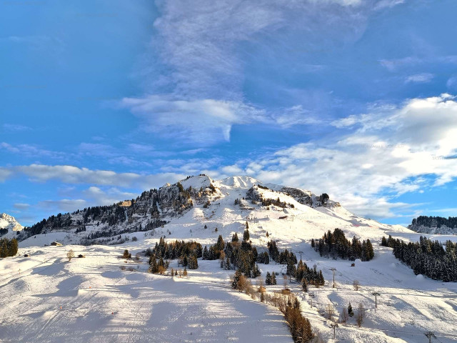 _clients_227445005_photos_232o_5121970