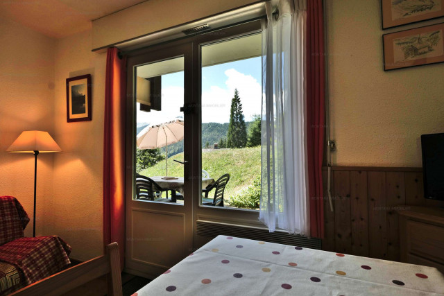 _clients_227445005_photos_238f_5068547