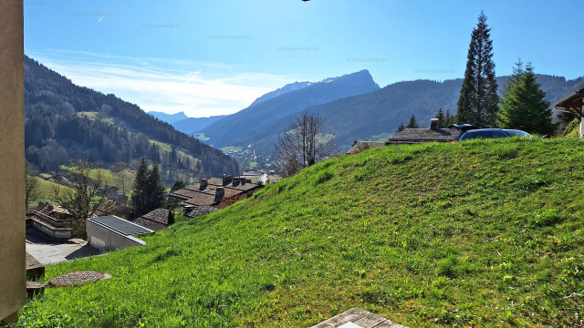 _clients_227445005_photos_238o_5336826