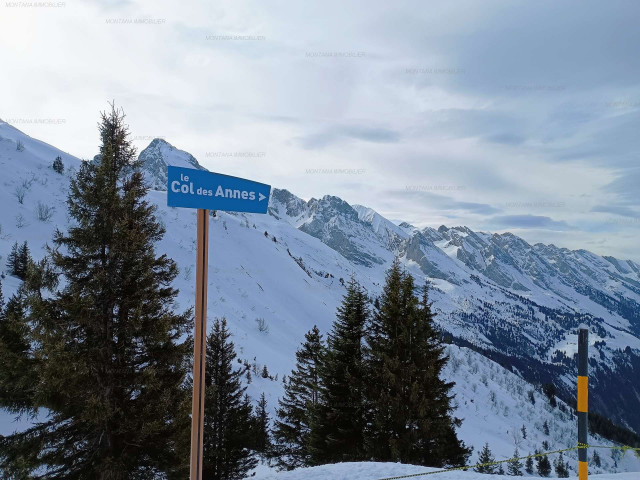 _clients_227445005_photos_238p_5332321