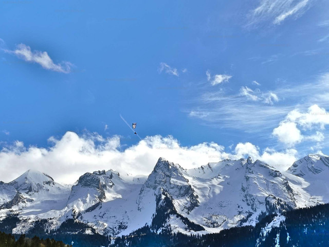 _clients_227445005_photos_239o_4689775 _clients_227445005_photos_239o_4689775