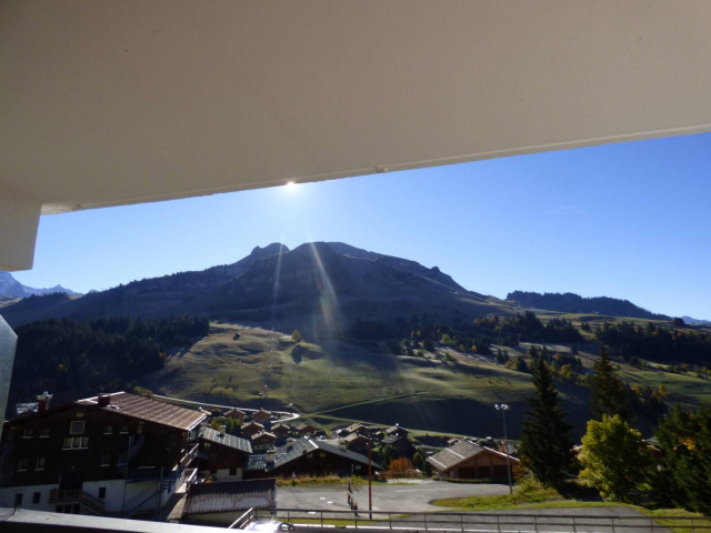 _clients_227445005_photos_240k_4689801 _clients_227445005_photos_240k_4689801