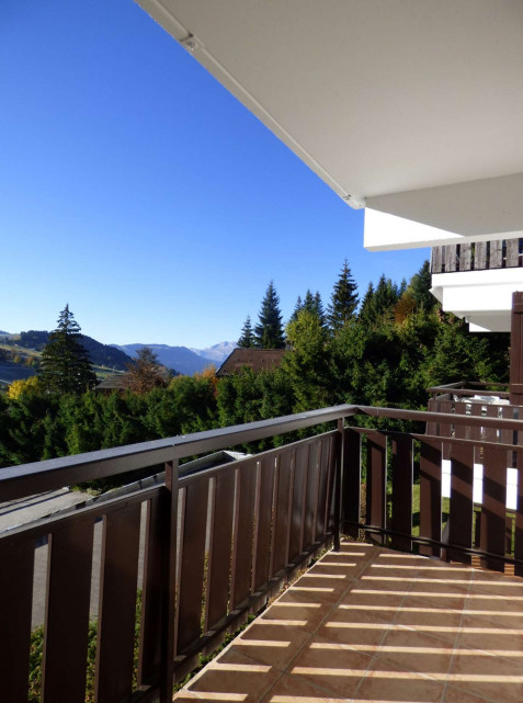 _clients_227445005_photos_240m_4689803 _clients_227445005_photos_240m_4689803