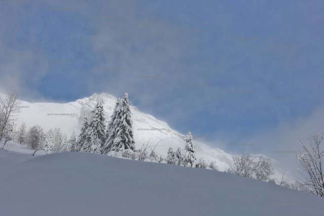 _clients_227445005_photos_240n_5364081 _clients_227445005_photos_240n_5364081