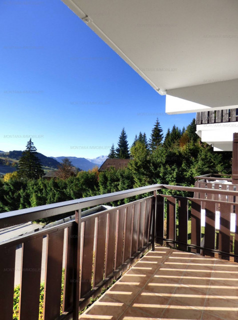 _clients_227445005_photos_240v_5117432