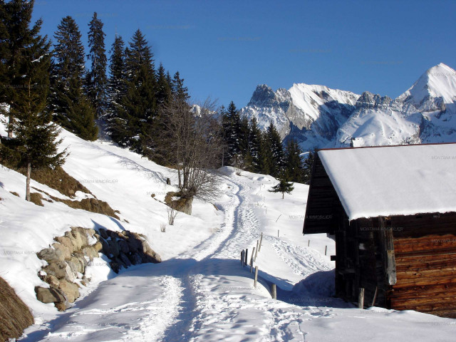 _clients_227445005_photos_240y_4722714 _clients_227445005_photos_240y_4722714