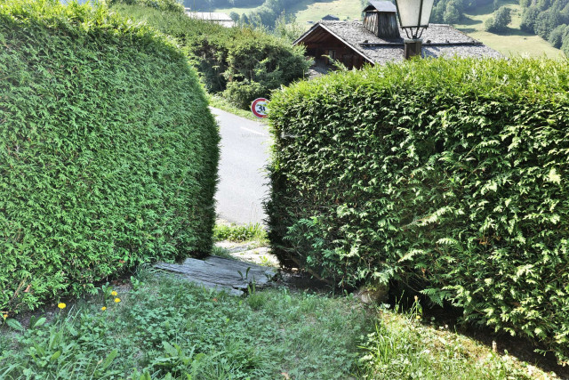 _clients_227445005_photos_241l_5490441