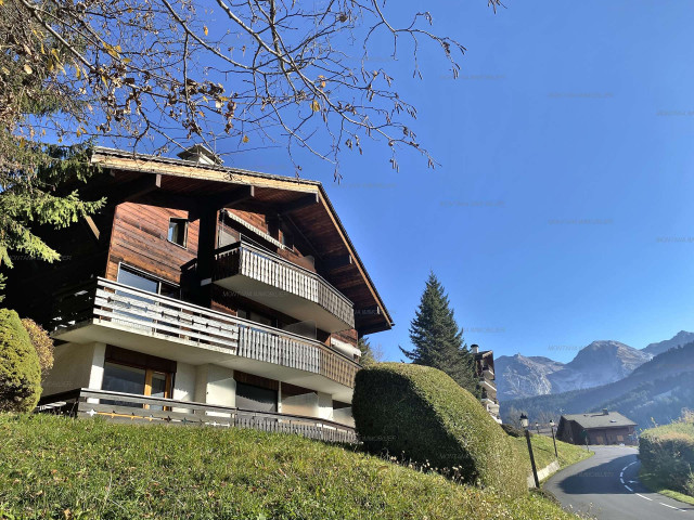 _clients_227445005_photos_241m_4718653 _clients_227445005_photos_241m_4718653