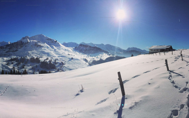 _clients_227445005_photos_243n_4921900 _clients_227445005_photos_243n_4921900