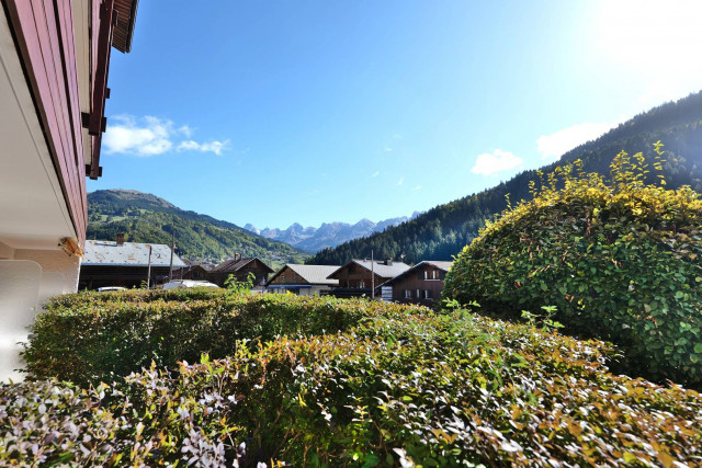 _clients_227445005_photos_244o_4913236 _clients_227445005_photos_244o_4913236