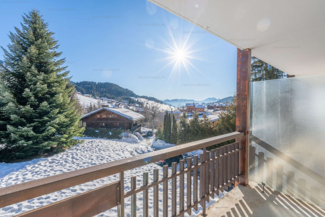 _clients_227445005_photos_245n_4718727 _clients_227445005_photos_245n_4718727