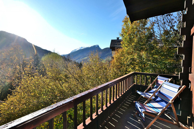 _clients_227445005_photos_246aa_5284247 _clients_227445005_photos_246aa_5284247