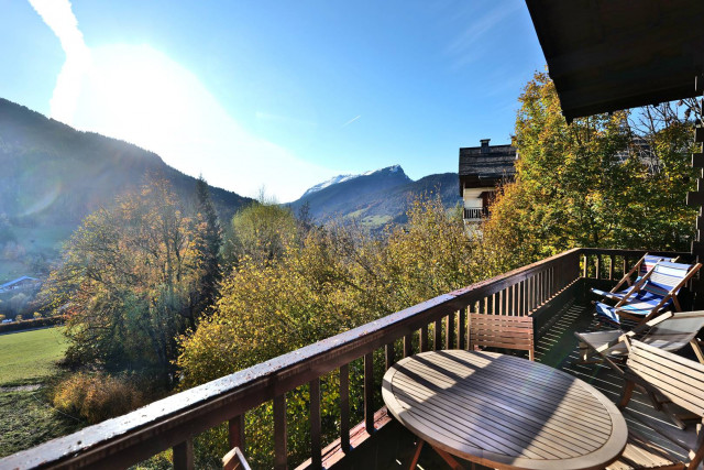 _clients_227445005_photos_246ab_4913292