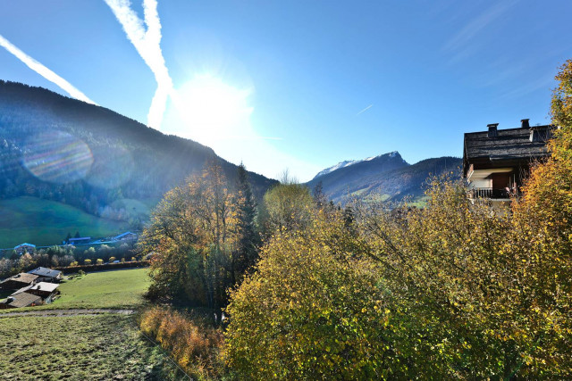 _clients_227445005_photos_246ac_5336992 _clients_227445005_photos_246ac_5336992