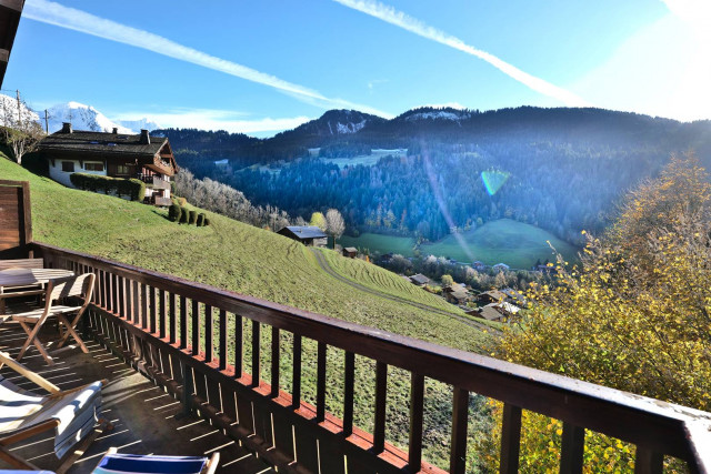 _clients_227445005_photos_246z_5378033