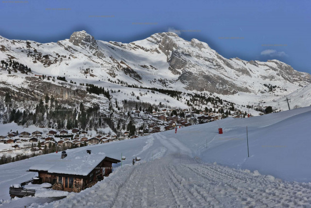 _clients_227445005_photos_247aa_4913323