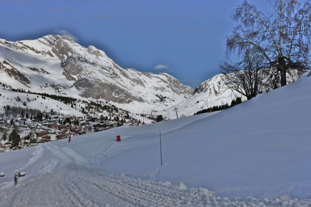 _clients_227445005_photos_247ab_4917696