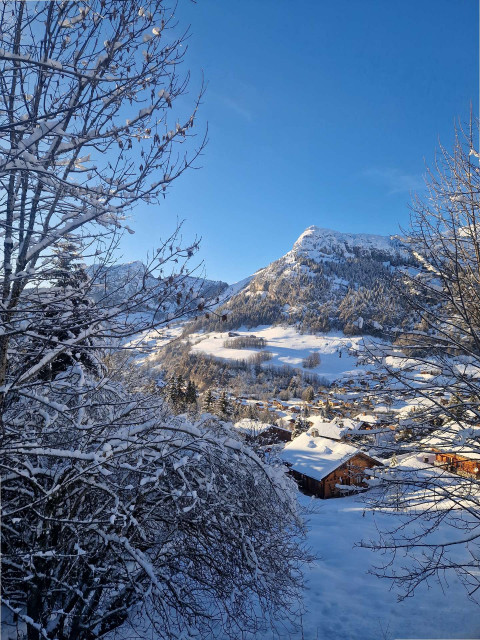 _clients_227445005_photos_247ae_5337026