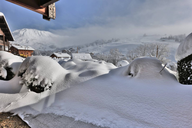 _clients_227445005_photos_249r_5350652