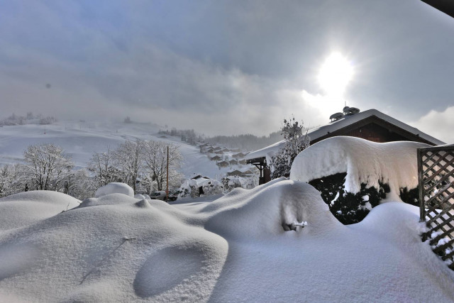 _clients_227445005_photos_249s_5332539