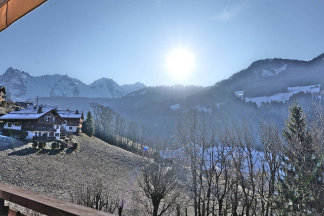 _clients_227445005_photos_255aa_5490728