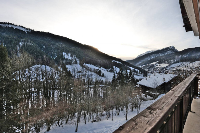 _clients_227445005_photos_255ad_5117736