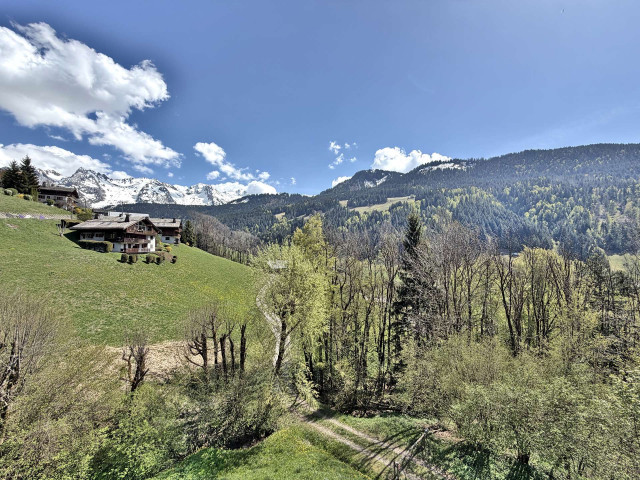 _clients_227445005_photos_255ag_5490734