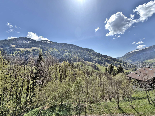 _clients_227445005_photos_255ah_5490735