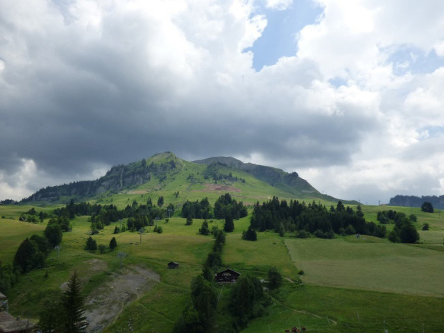 _clients_227445005_photos_28o_5341767 _clients_227445005_photos_28o_5341767