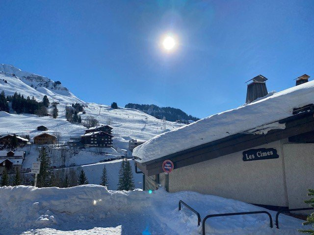 _clients_227445005_photos_29g_4681789 _clients_227445005_photos_29g_4681789