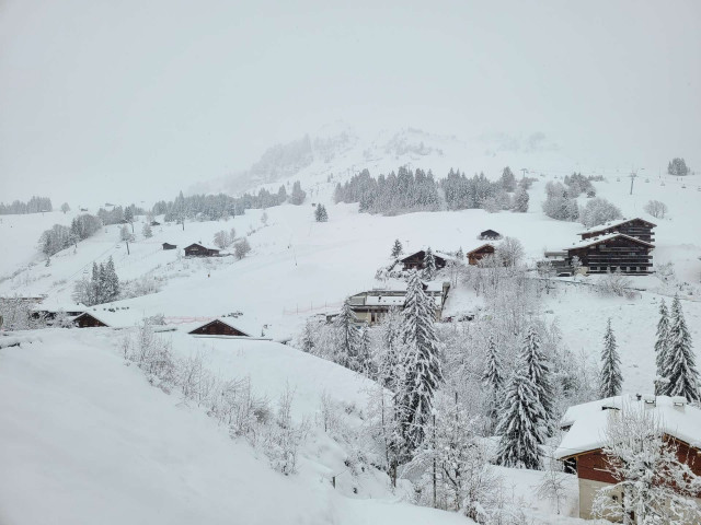 _clients_227445005_photos_29k_4689942 _clients_227445005_photos_29k_4689942