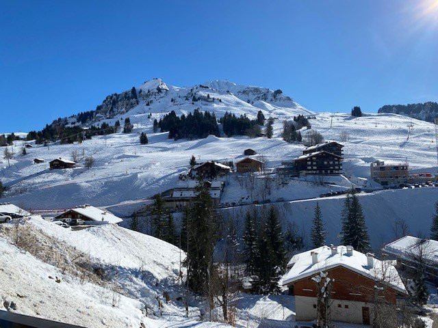 _clients_227445005_photos_29n_4689945 _clients_227445005_photos_29n_4689945