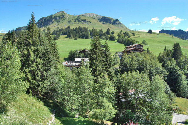 _clients_227445005_photos_29t_5387721 _clients_227445005_photos_29t_5387721