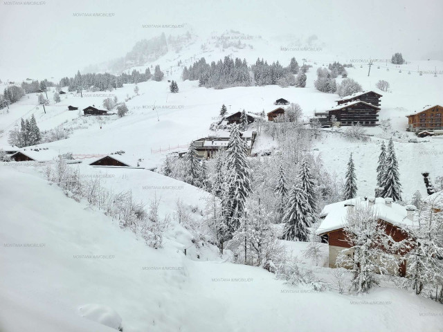 _clients_227445005_photos_29x_5105065