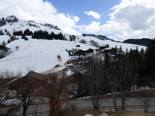 _clients_227445005_photos_31n_4917806