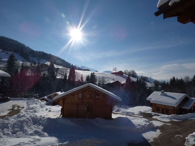 _clients_227445005_photos_36a_4690021